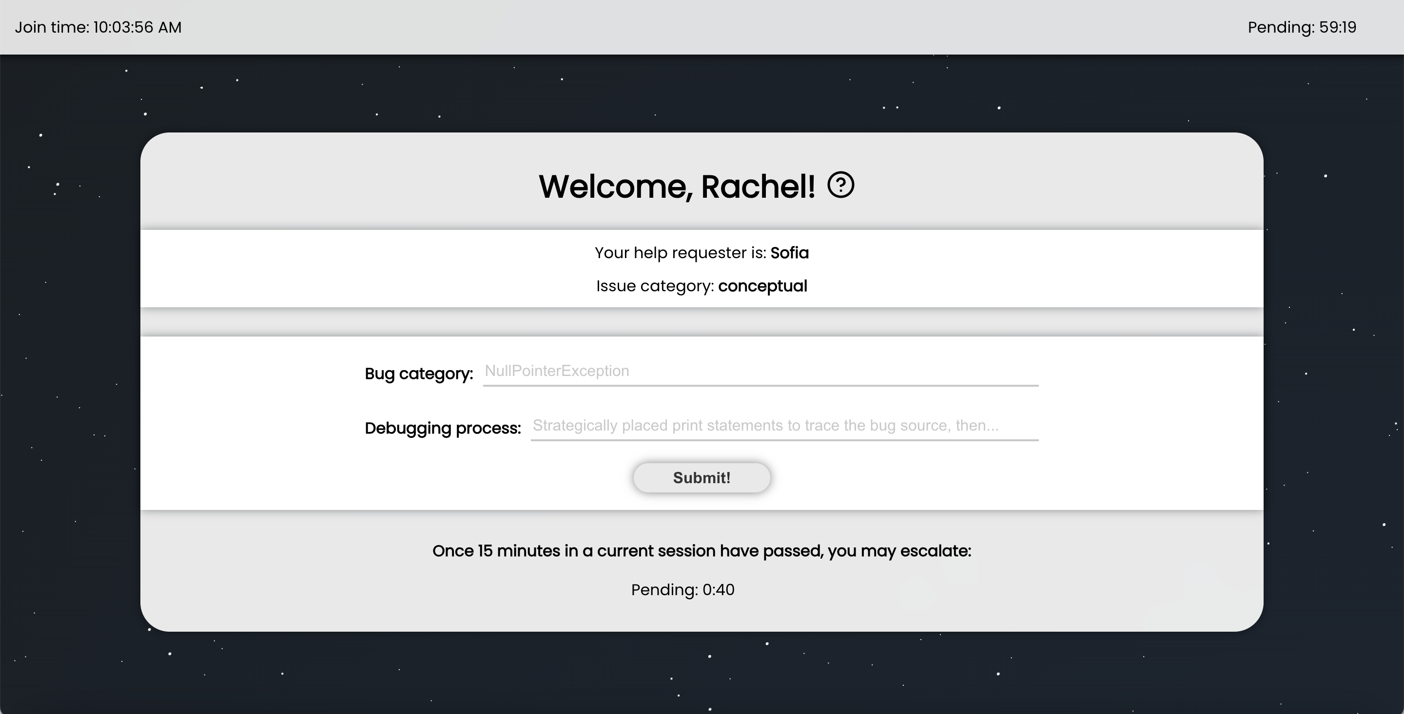 Website debugging partner view