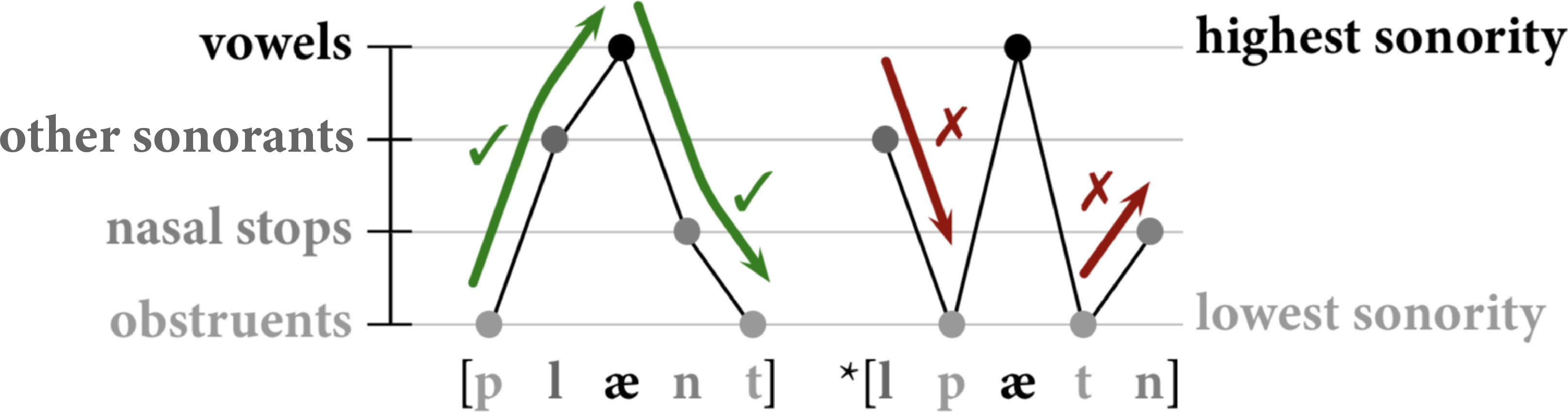 Sonority sequencing principles image